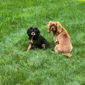 Meet your Posher, Danielle